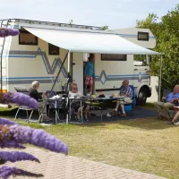 texelcamping-de-shelter-texel-de-koog-ivy6u