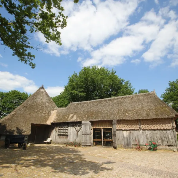 camping-groepsverblijf-alinghoek-drouwen-5iwar