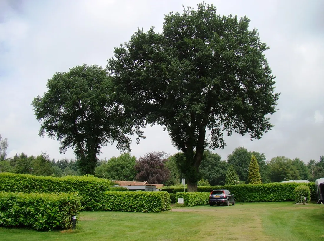 camping-groepsverblijf-alinghoek-drouwen-nc9my