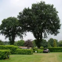 camping-groepsverblijf-alinghoek-drouwen-nc9my