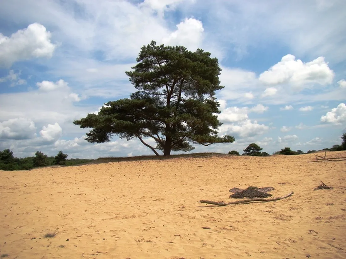 camping-groepsverblijf-alinghoek-drouwen-te0np