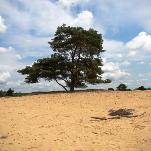 camping-groepsverblijf-alinghoek-drouwen-te0np
