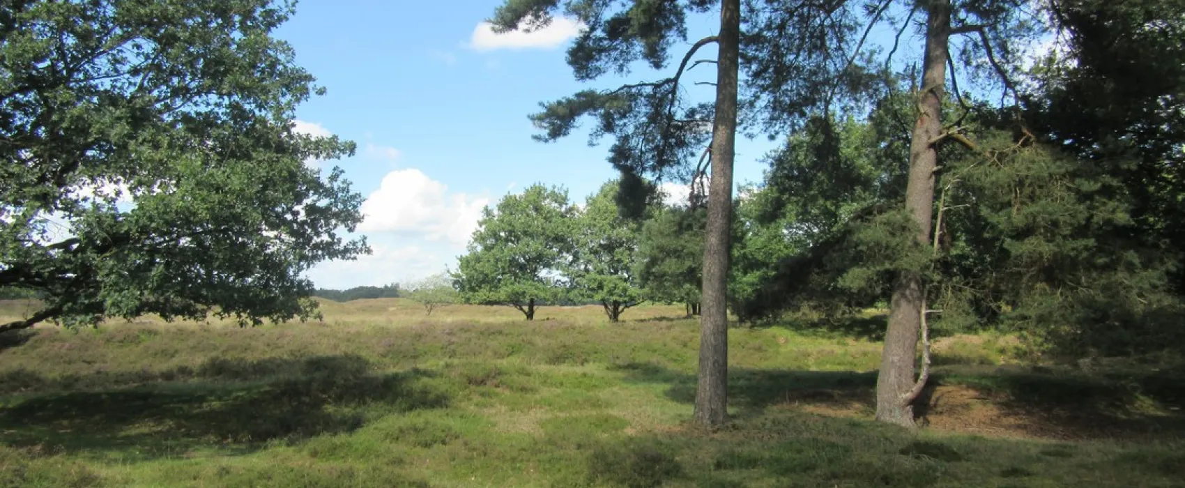 Camping groepsverblijf Alinghoek