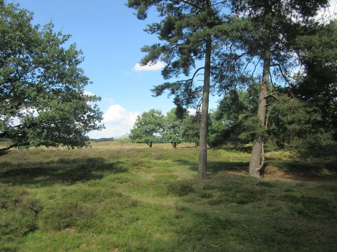 camping-groepsverblijf-alinghoek-drouwen-v10jy