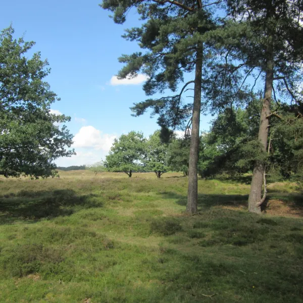 camping-groepsverblijf-alinghoek-drouwen-v10jy