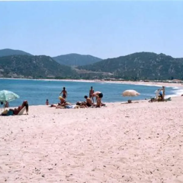 camping-pitsoni-sykia-5nfr5