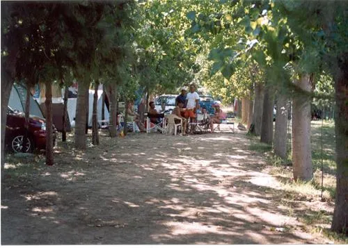 camping-pitsoni-sykia-6y40n