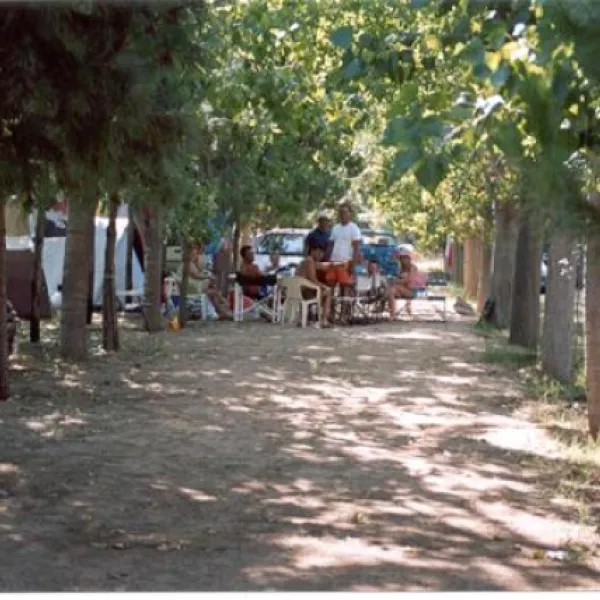 camping-pitsoni-sykia-6y40n