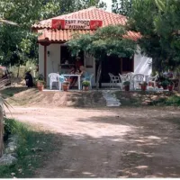 camping-pitsoni-sykia-lfy1a
