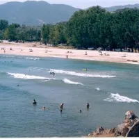 camping-pitsoni-sykia-shng0
