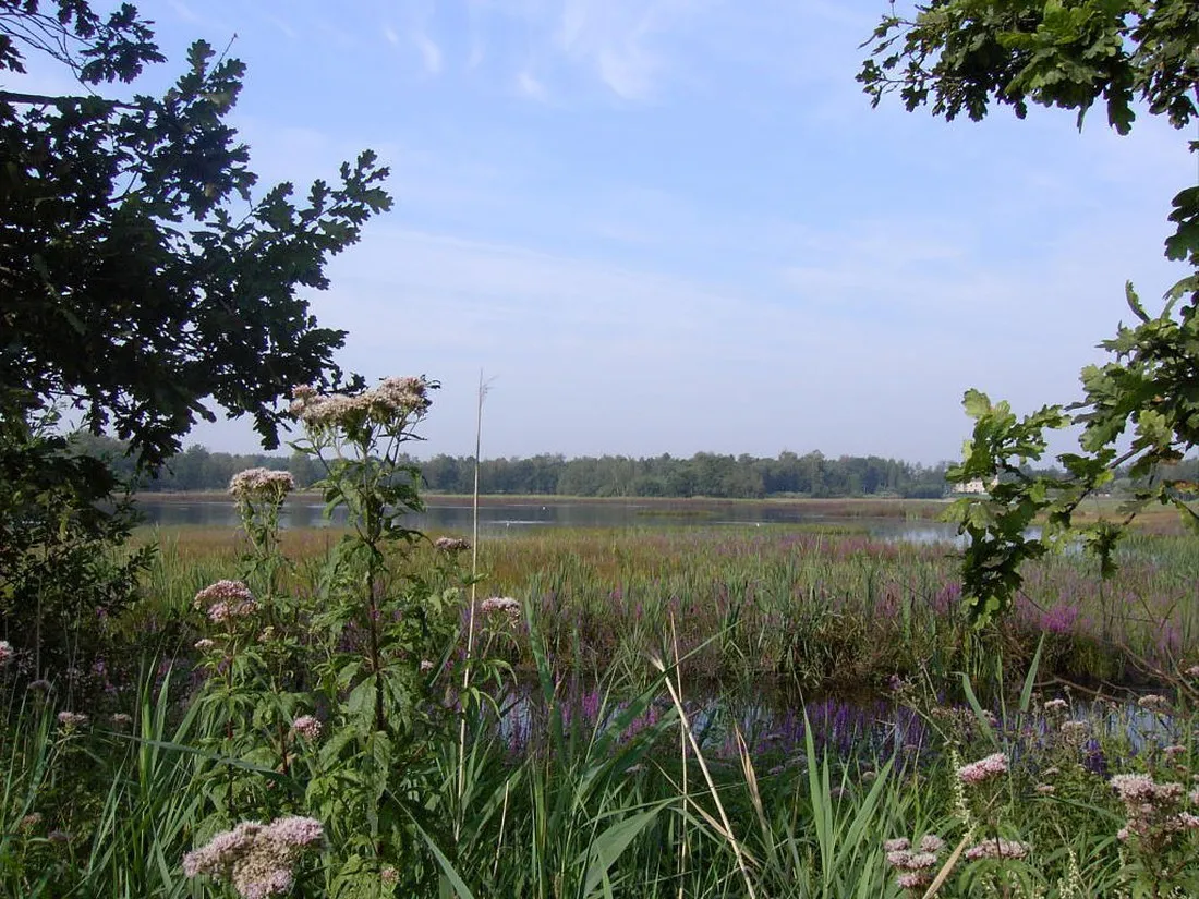 campheidestrand-nv-zonhoven-pnds4