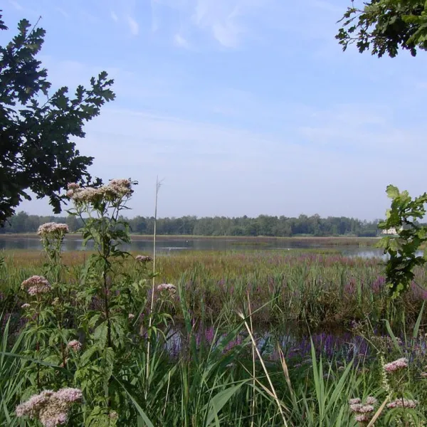 CampHeidestrand N.V.