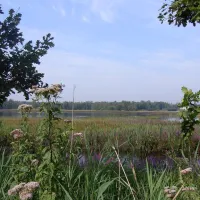 campheidestrand-nv-zonhoven-pnds4