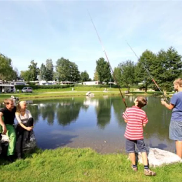 camp-mondseeland-mondseetiefgraben-ecece
