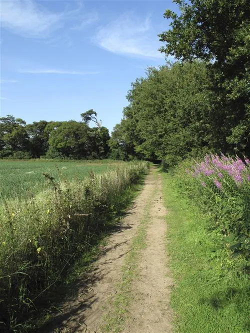 st-margarets-caravan-camp-site-shottisham-01aie