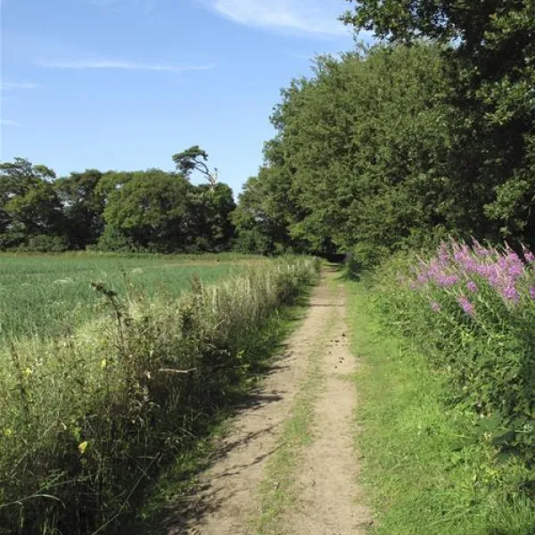 st-margarets-caravan-camp-site-shottisham-01aie