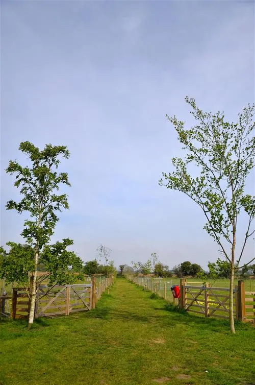 st-margarets-caravan-camp-site-shottisham-e7r5h