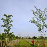 st-margarets-caravan-camp-site-shottisham-e7r5h