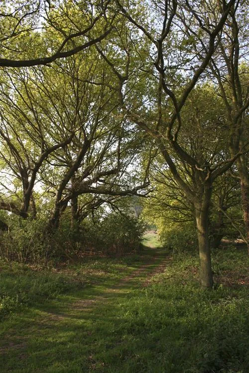 st-margarets-caravan-camp-site-shottisham-ek17f