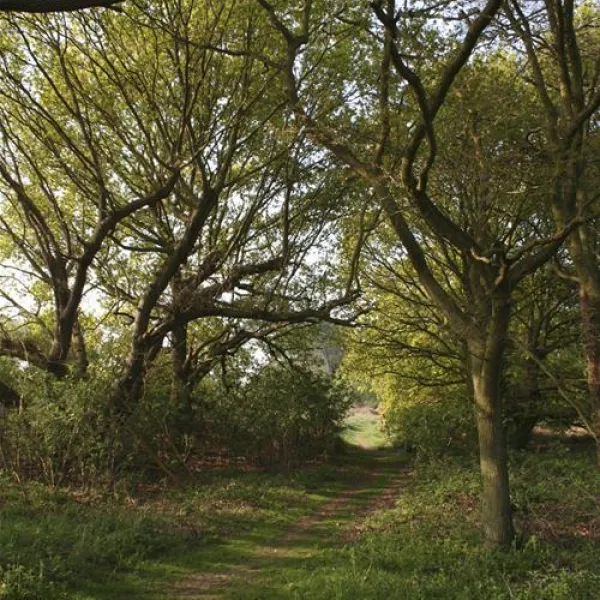 st-margarets-caravan-camp-site-shottisham-ek17f