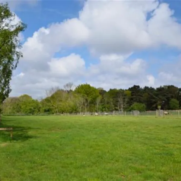 st-margarets-caravan-camp-site-shottisham-tqv0u