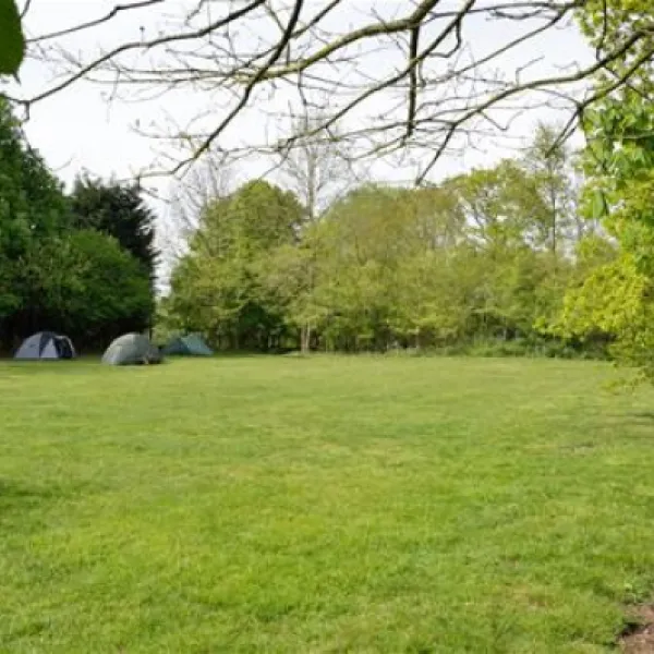 st-margarets-caravan-camp-site-shottisham-xwfvp