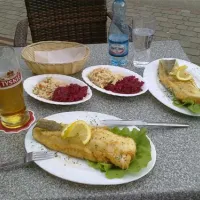 camping-klif-rewal-rl1lq