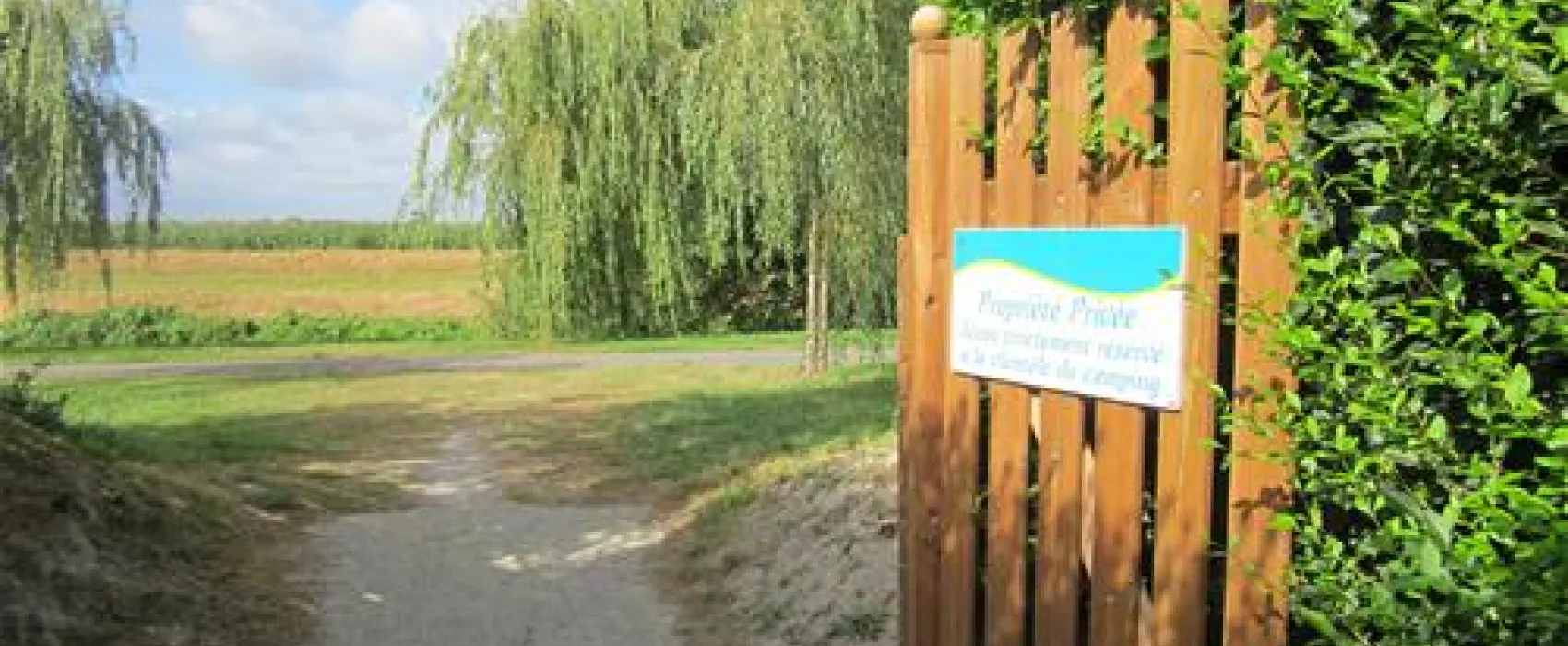 Camping Haliotis  