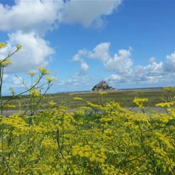 camping-haliotis-pontorson-vfy3o
