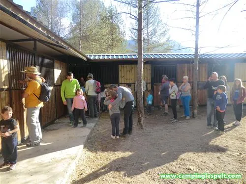 camping-lespelt-la-pobla-de-lillet-afzfw