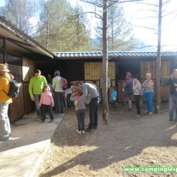 camping-lespelt-la-pobla-de-lillet-afzfw