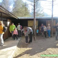 camping-lespelt-la-pobla-de-lillet-afzfw