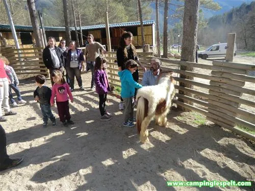 camping-lespelt-la-pobla-de-lillet-cvgpk