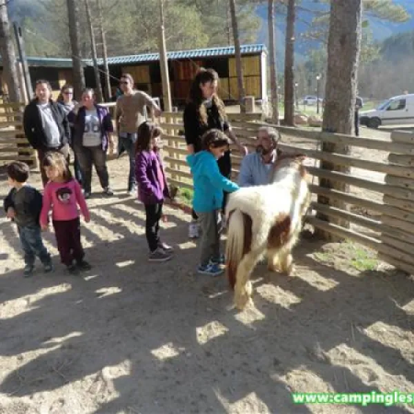 camping-lespelt-la-pobla-de-lillet-cvgpk