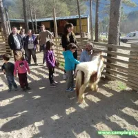 camping-lespelt-la-pobla-de-lillet-cvgpk
