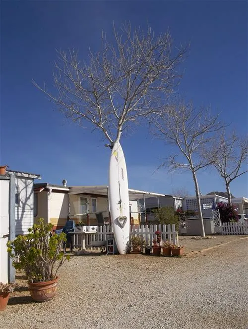 camping-los-delfines-mazarrn-4wnip