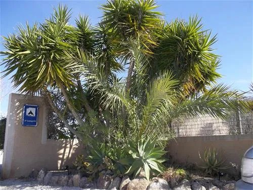 camping-los-delfines-mazarrn-gyqsf