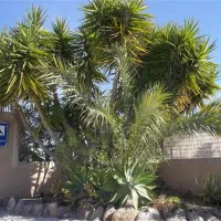 camping-los-delfines-mazarrn-gyqsf