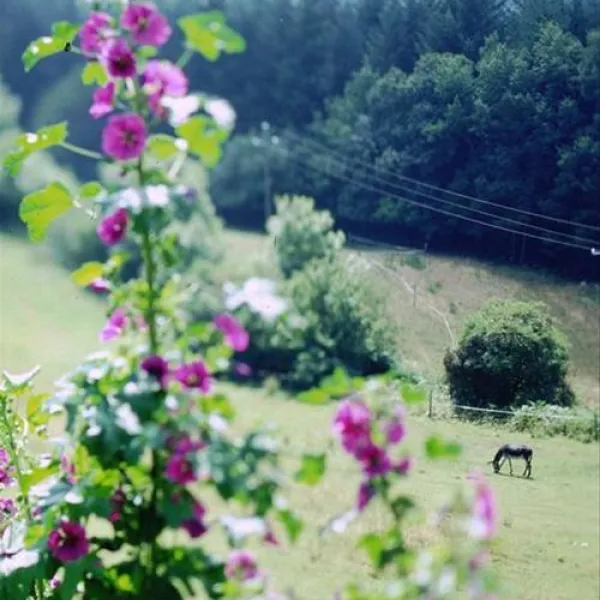 Domaine Lacanal  