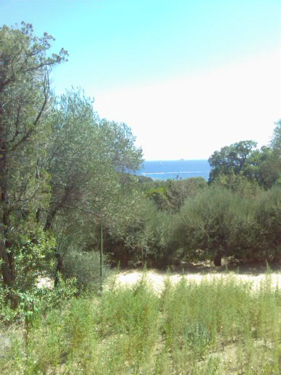 village-la-chiappa-porto-vecchio-7qkec