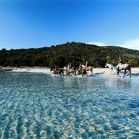 village-la-chiappa-porto-vecchio-jxt3x