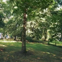 camping-de-civray-civray-sfg31