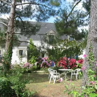 camping-la-tour-locmariaquer-jyu1u