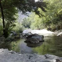 camping-le-ginestre-del-catria-chiaserna-di-cantiano-3wkgh