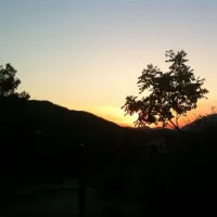 camping-le-ginestre-del-catria-chiaserna-di-cantiano-79rto