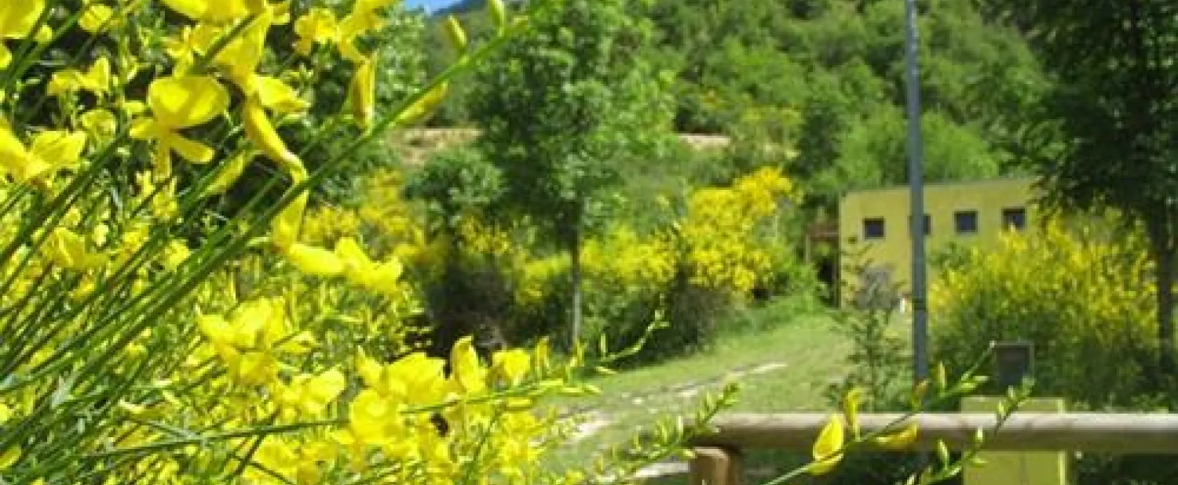 CAMPING LE GINESTRE DEL CATRIA
