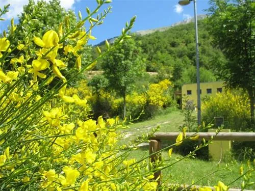 camping-le-ginestre-del-catria-chiaserna-di-cantiano-cs8g9
