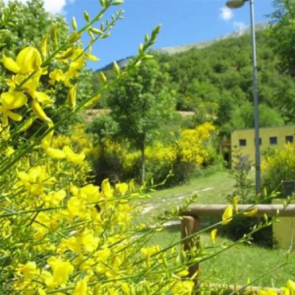 camping-le-ginestre-del-catria-chiaserna-di-cantiano-cs8g9