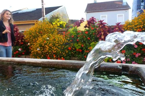 camping-fraiteux-plombieres-les-bains-wfvir