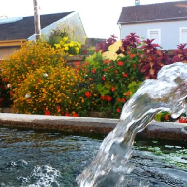 camping-fraiteux-plombieres-les-bains-wfvir